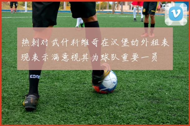 热刺对武什科维奇在汉堡的外租表现表示满意视其为球队重要一员