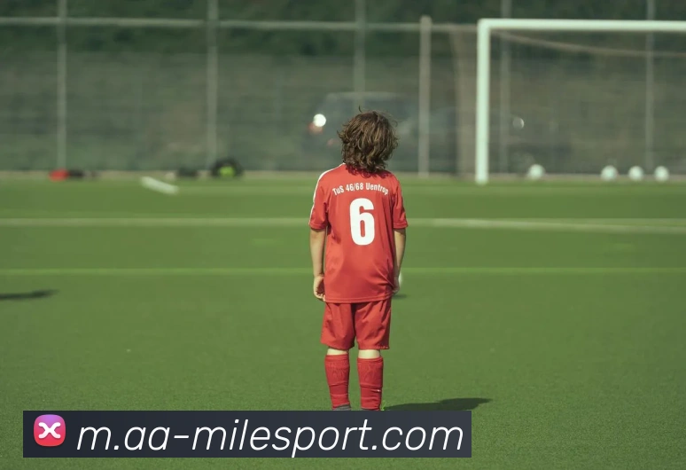 米乐足球服务体系